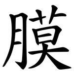 膜 膜