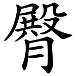 臀