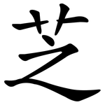 芝 芝