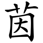 茵