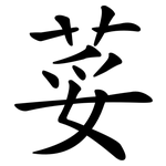 荽