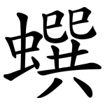 蟤