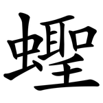 蟶