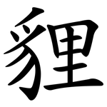 貍