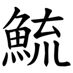 鯍