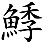 鯚