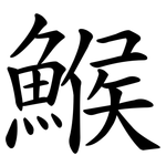 鯸