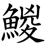 鯼