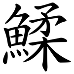 鰇