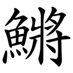 鱂