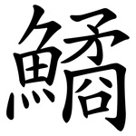 鱊