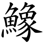 鱌