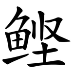 鲣