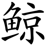 鲸 鲸