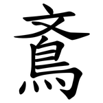 鴍