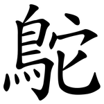 鴕