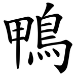 鴨 鴨