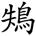 鴩