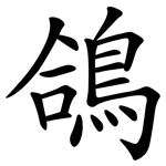 鴿