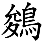 鵕