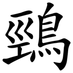 鵛