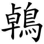 鵫