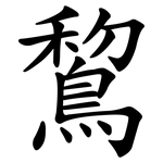 鵹