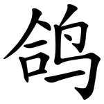 鸽
