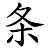 条 条