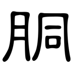 胴: 隸書