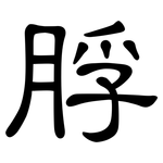脬: 隸書