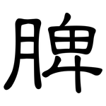 脾: 隸書 脾: 隸書