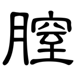 膣: 隸書