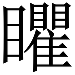 䂂: 宋體（明體）