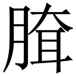 䐛: 宋體（明體）