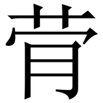 䒿: 宋體（明體）