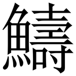 䲖: 宋體（明體）