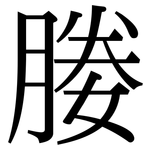 媵: 宋體（明體）