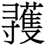彟: 宋體（明體）