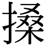 搡: 宋體（明體）