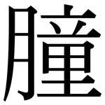 朣: 宋體（明體）