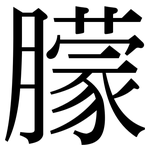 朦: 宋體（明體）
