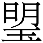 琞: 宋體（明體）