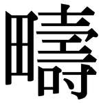 疇: 宋體（明體）