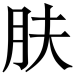 肤: 宋體（明體）
