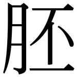 胚: 宋體（明體）