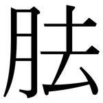胠: 宋體（明體）