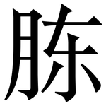胨: 宋體（明體）