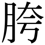 胯: 宋體（明體）