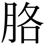 胳: 宋體（明體）